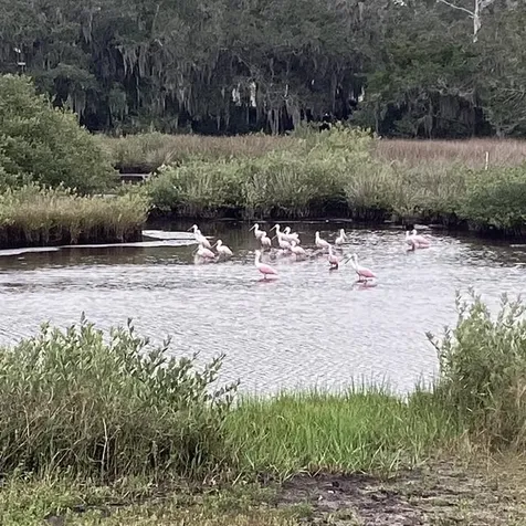27 Oak Street St Augustine FL 32084