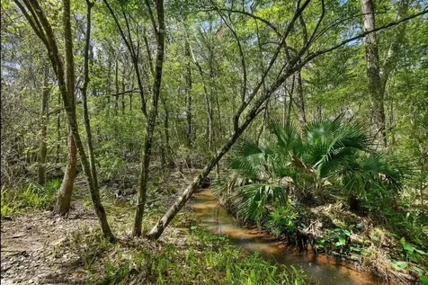 3253 Turtle Creek Road St Augustine FL 32086