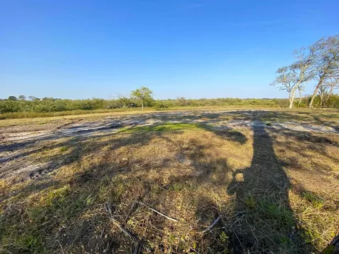 223 Pelican Reef Drive St Augustine FL 32080