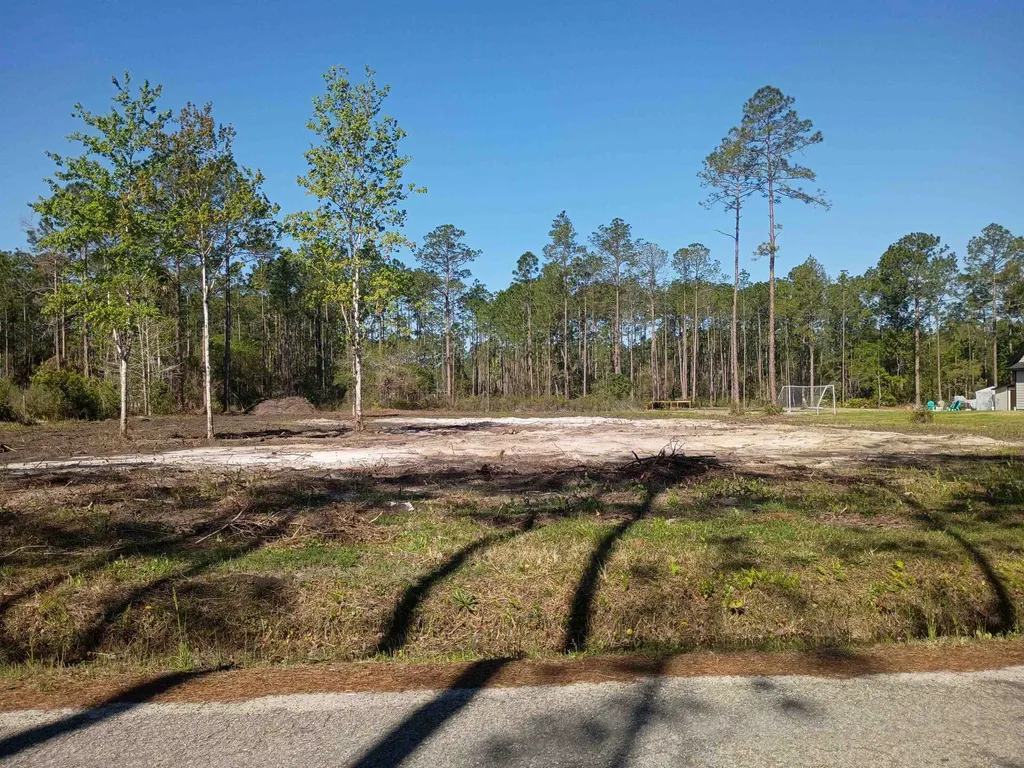 10035 Amos Avenue Hastings FL 32145-0000