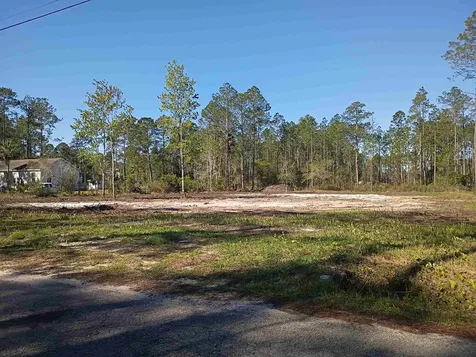 10035 Amos Avenue Hastings FL 32145-0000