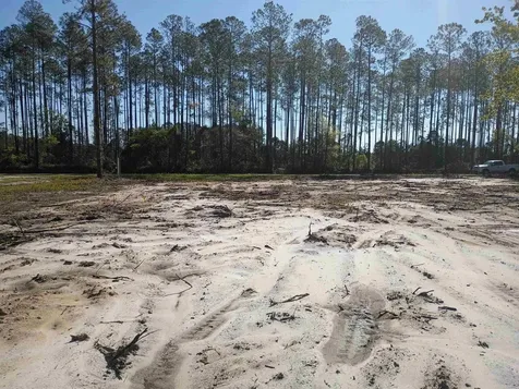 10035 Amos Avenue Hastings FL 32145-0000