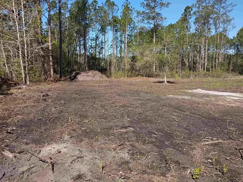 10035 Amos Avenue Hastings FL 32145-0000