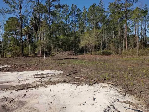 10035 Amos Avenue Hastings FL 32145-0000