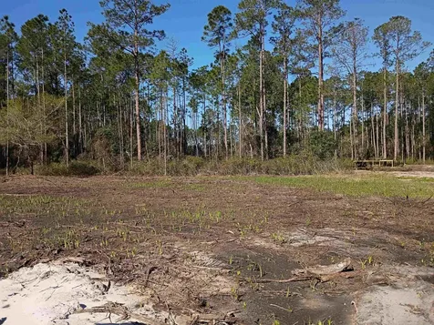 10035 Amos Avenue Hastings FL 32145-0000
