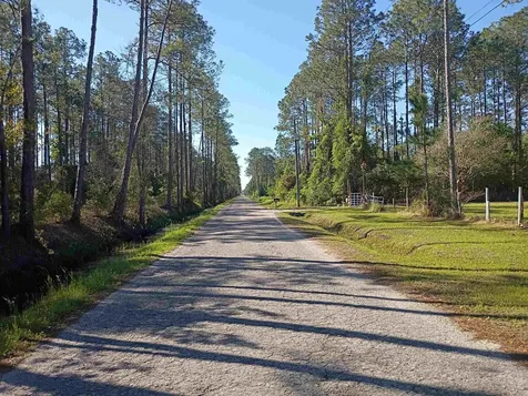 10035 Amos Avenue Hastings FL 32145-0000