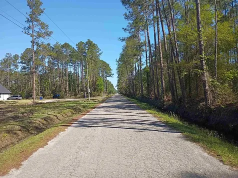 10035 Amos Avenue Hastings FL 32145-0000