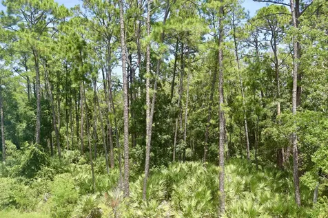 96 Silver Birch Street St Augustine FL 32084