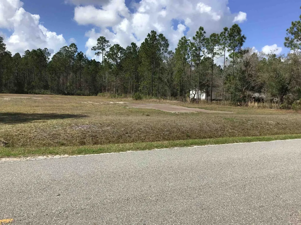 10305 Allison Avenue Hastings FL 32145