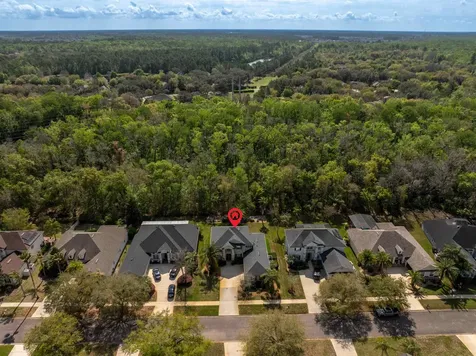 3156 Trout Creek Court St Augustine FL 32092