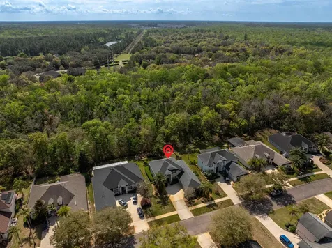 3156 Trout Creek Court St Augustine FL 32092
