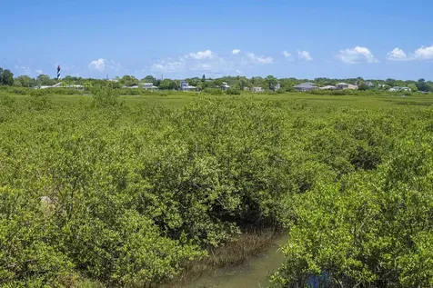 113 Spoonbill Point Court St Augustine FL 32080-0000