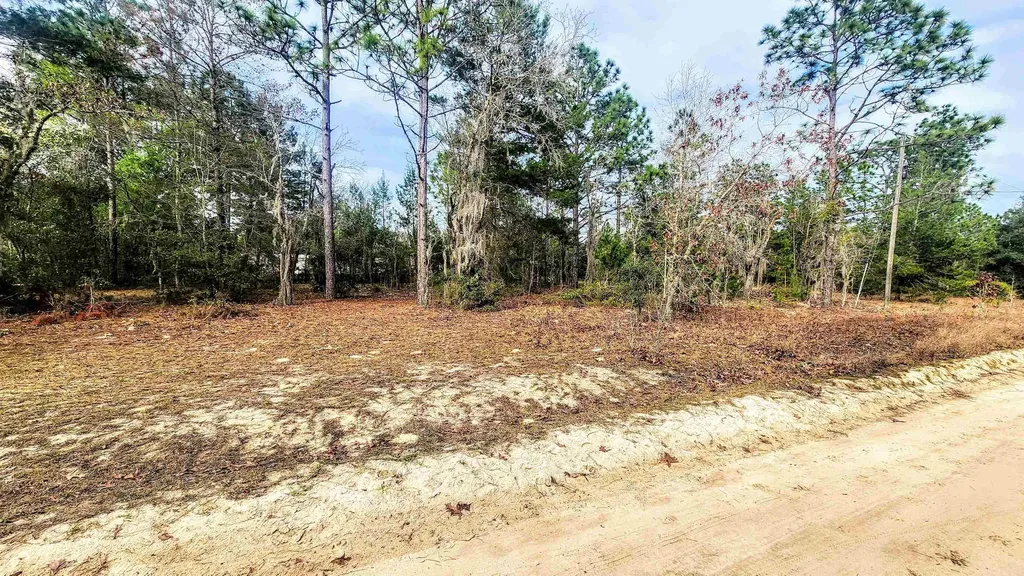Caribbean Street Interlachen FL 32148
