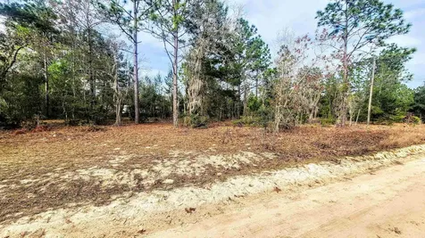 Caribbean Street Interlachen FL 32148