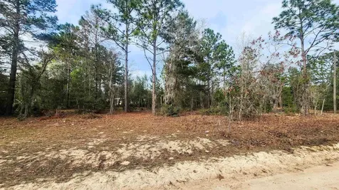 Caribbean Street Interlachen FL 32148