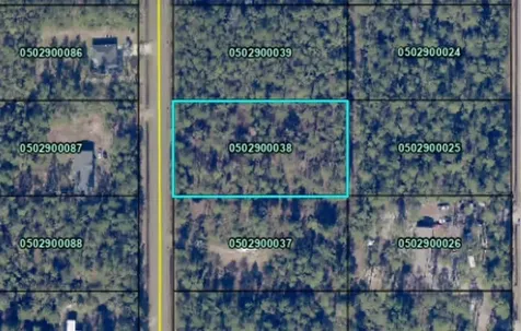 9910 Baylor Avenue Hastings FL 32145