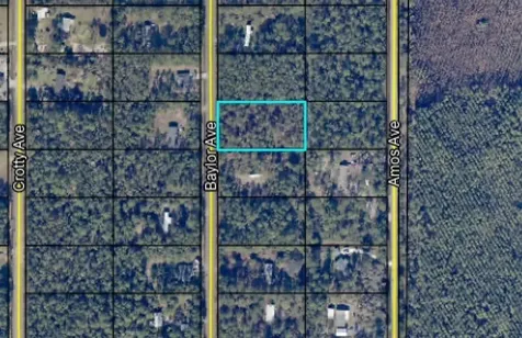 9910 Baylor Avenue Hastings FL 32145