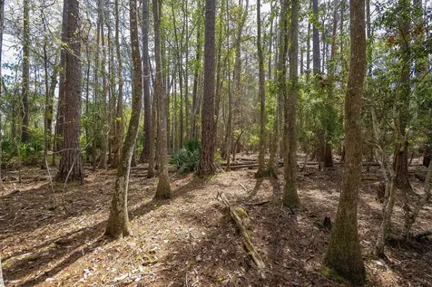 4040 Red Pine Lane St Augustine FL 32086