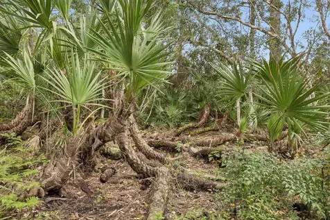 351 Point Pleasant Drive St Augustine FL 32086