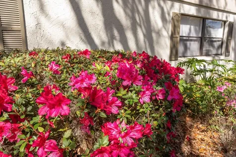 5 Andalusia Court St Augustine FL 32086