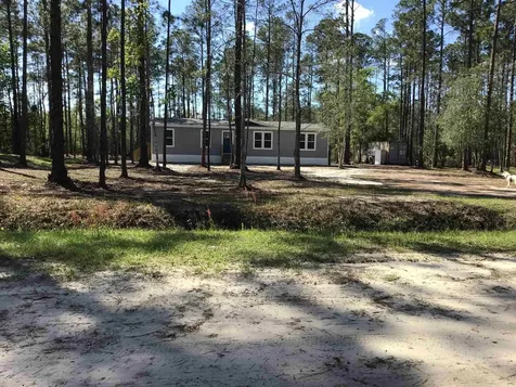 10445 Gregory Avenue Hastings FL 32145