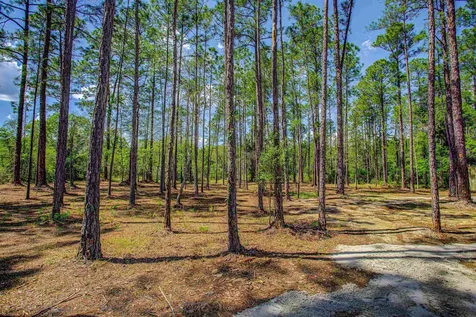 10445 Gregory Avenue Hastings FL 32145