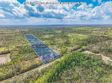 000-3 County Road 308 Crescent City FL 32112