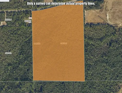 000-3 County Road 308 Crescent City FL 32112