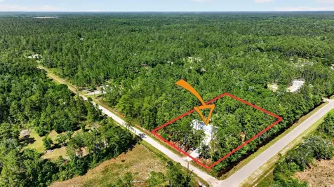 10570 Delgado Avenue Hastings FL 32145