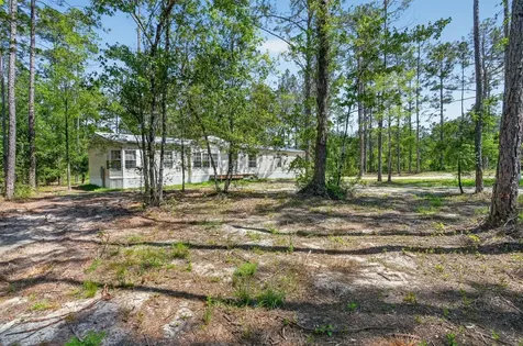 10570 Delgado Avenue Hastings FL 32145