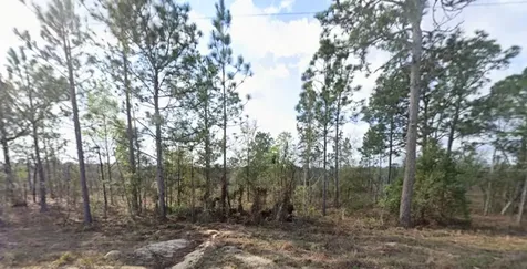 Tbd Union Avenue Interlachen FL 32148