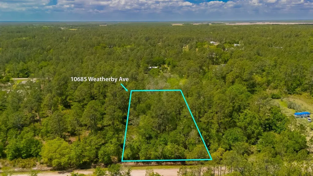 10685 Weatherby Avenue Hastings FL 32145