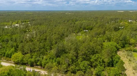 10685 Weatherby Avenue Hastings FL 32145