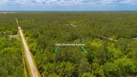 10685 Weatherby Avenue Hastings FL 32145