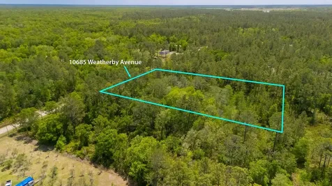 10685 Weatherby Avenue Hastings FL 32145