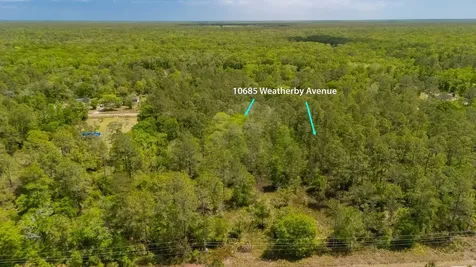 10685 Weatherby Avenue Hastings FL 32145