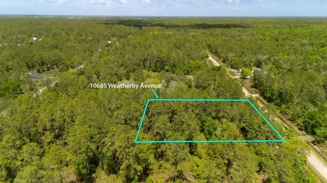 10685 Weatherby Avenue Hastings FL 32145