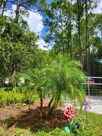 2130 Carter Road St Augustine FL 32084