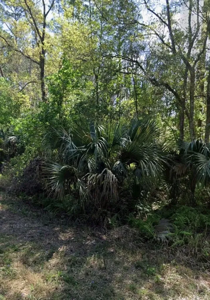 425 Dogwood Avenue Georgetown FL 32139