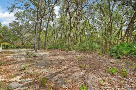 112 Palmer Drive Interlachen FL 32148