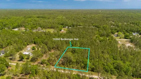 10260 Beckenger Avenue Hastings FL 32145