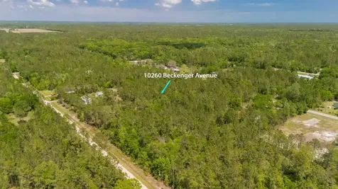 10260 Beckenger Avenue Hastings FL 32145