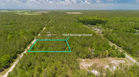 10260 Beckenger Avenue Hastings FL 32145