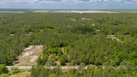 10260 Beckenger Avenue Hastings FL 32145