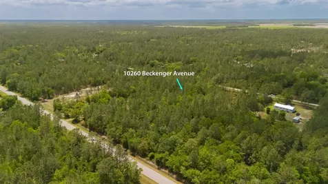 10260 Beckenger Avenue Hastings FL 32145
