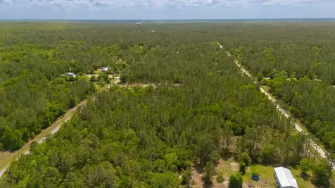 10260 Beckenger Avenue Hastings FL 32145