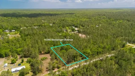 10260 Beckenger Avenue Hastings FL 32145