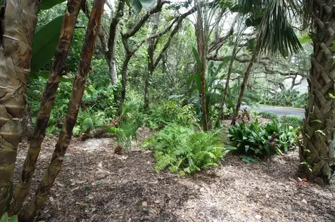 430 Ocean Forest Drive St Augustine FL 32080