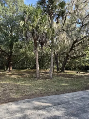 608 Coral Farms Road Florahome FL 32140