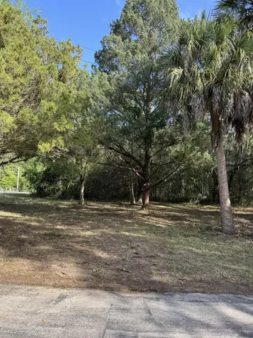 608 Coral Farms Road Florahome FL 32140